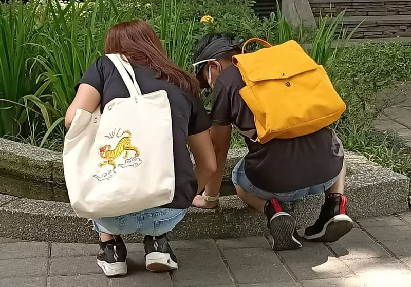 貓  刺繡  手提袋  補習袋 帆布包 (小)