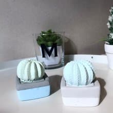 【MINI LIFE x 氛享日記】仙人球造型擴香石