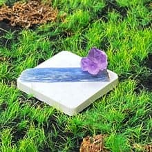 紫晶骨幹晶花 | 藍晶石 | 溝通 表達 觀察力 避邪化煞 招財增智慧