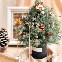 預購中 | 質感-永生聖誕樹、交換禮物、DIY聖誕樹材料包