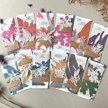 蕨類標本紙雕-12款一組|禮物 書籤 情人節 植物 兔年 新年禮物 紙