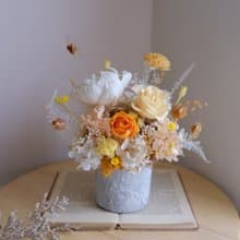 【永生花盆花】永生花/居家裝飾/開幕/新居/賀禮/送禮/橘黃朝氣款