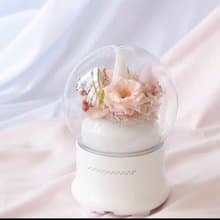 Oone_n_only 永生花加濕器 香薰機 擺設