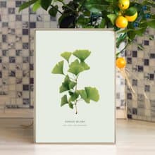 枝繁葉茂—銀杏葉/掛畫/綠植/臥室掛畫/家居/客廳佈置/日光植物