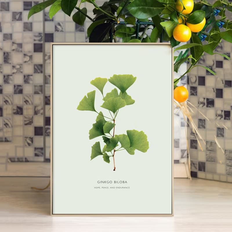 枝繁葉茂—銀杏葉/掛畫/綠植/臥室掛畫/家居/客廳佈置/日光植物