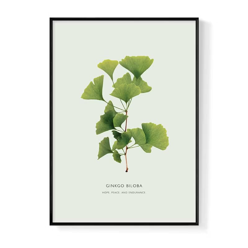 枝繁葉茂—銀杏葉/掛畫/綠植/臥室掛畫/家居/客廳佈置/日光植物