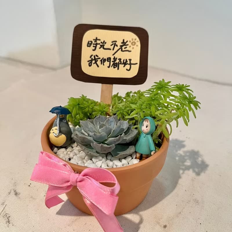龍貓 吉卜力 (小盆) 開幕送禮 多肉組盆 多肉植物 創意盆栽 盆栽