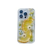 白花 橘子 手作押花手机壳适用于 iPhone 16 Pro Samsung S25 A35