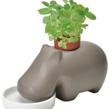 聖新陶芸hippoplant瀨戶燒河馬陶盆種植組(二色)