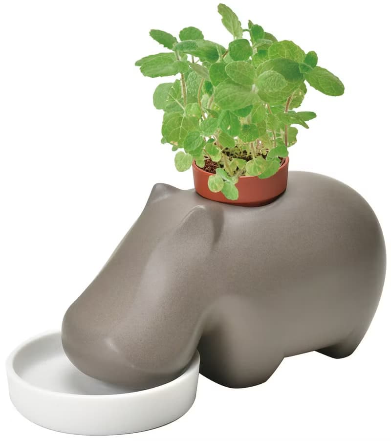 聖新陶芸hippoplant瀨戶燒河馬陶盆種植組(二色)