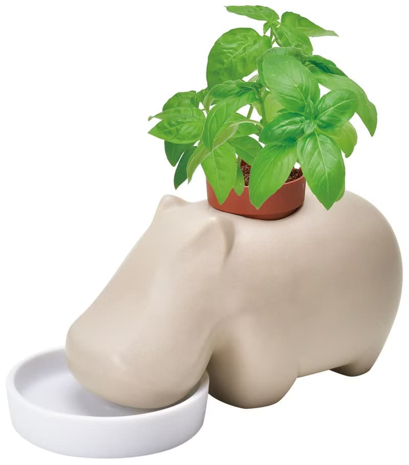 聖新陶芸hippoplant瀨戶燒河馬陶盆種植組(二色)