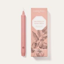 Carrière Frères 番茄香氛細蠟燭