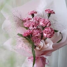 藝術染康乃馨 奶霜白邊粉 鮮花束 2025母親節