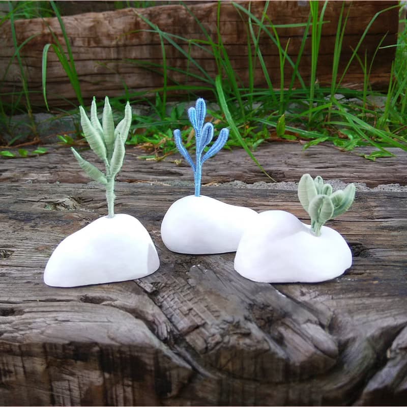 【綠洲系列   多肉植物 】纏花原創手做擴香石 工藝小品