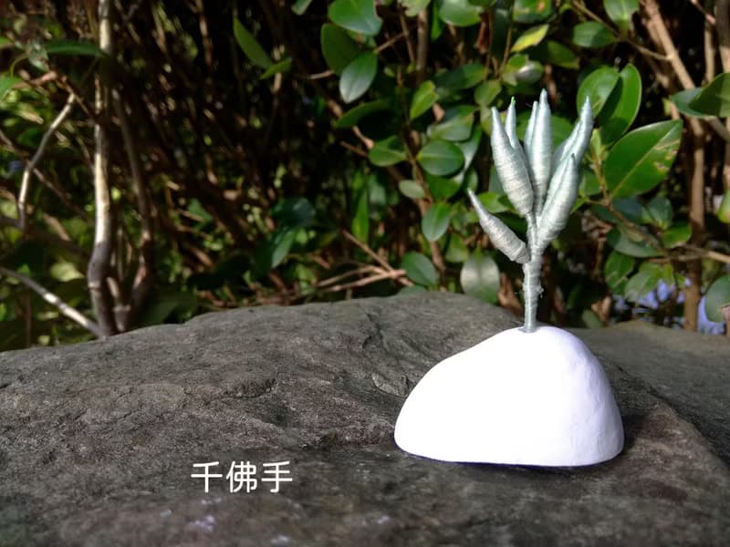 【綠洲系列   多肉植物 】纏花原創手做擴香石 工藝小品