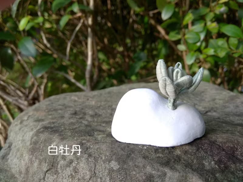 【綠洲系列   多肉植物 】纏花原創手做擴香石 工藝小品