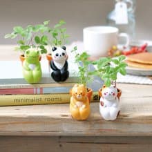 Have a seed 隨意坐系列植栽盆器 / 療癒動物