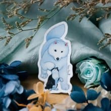 【貓瘋子】小黑與大白行李箱貼D / 行李箱貼紙