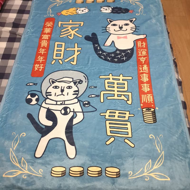 空調毯 冷氣毯 毛毯 寵物毯 毯子 貓