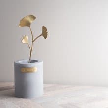 【植系列】銀杏 黃銅小盆栽 x 擴香 Ginkgo Houseplants