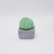 【禮品包裝】手作療癒系-球狀仙人掌盆摘擴香石附香精-生日-情-