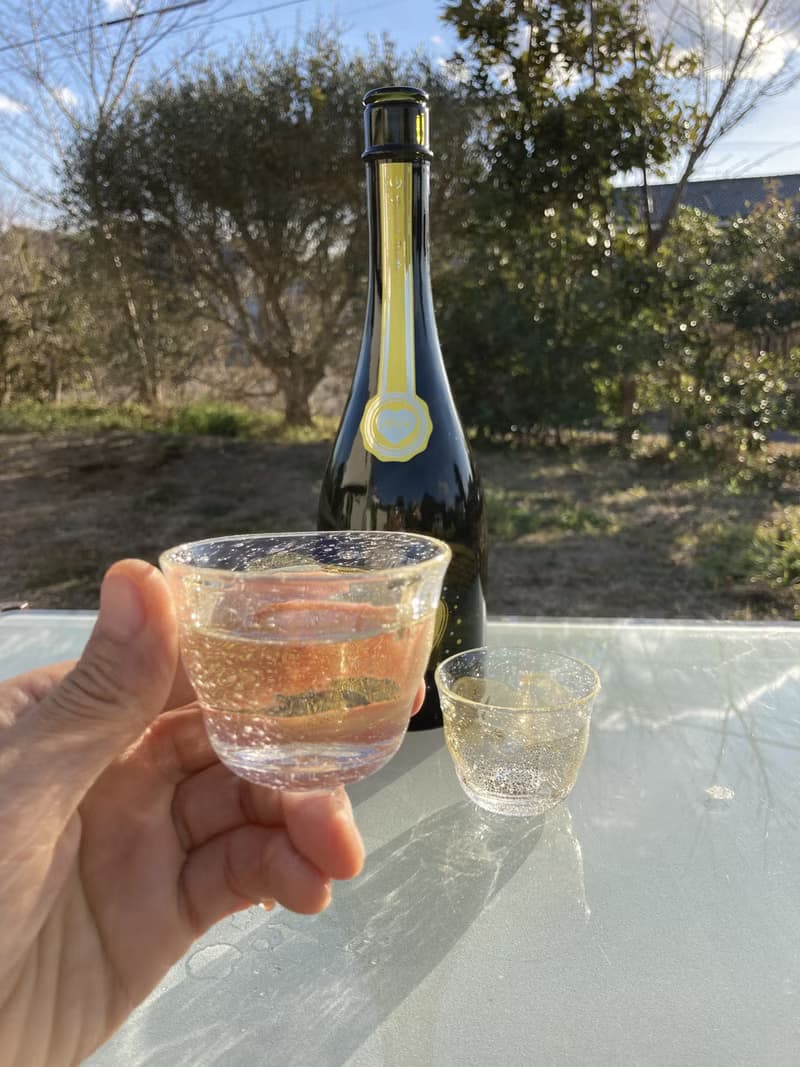 GoldenWave 酒盃 日本酒用 酒器 麻炭ガラス