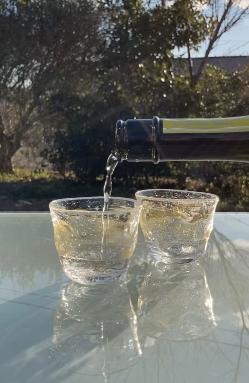 GoldenWave 酒盃 日本酒用 酒器 麻炭ガラス