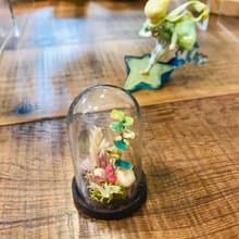 【桌上擺飾】迷你 金工植栽  辦公室 療癒 小物 (尤加利葉 衫樹)