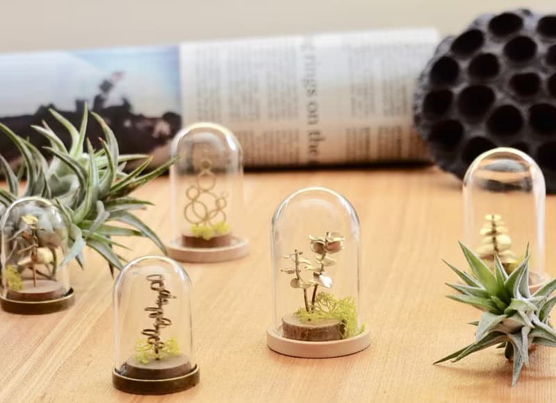 【桌上擺飾】迷你 金工植栽  辦公室 療癒 小物 (尤加利葉 衫樹)