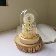 心願玻璃球 / 蒲公英 玻璃罩 母親節 乾燥花 永生花