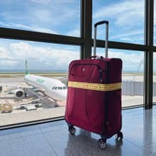 行李束帶 Luggage Strap - 易碎物品 禮物推薦