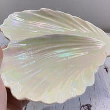 精美貝殼形瓷盤多功能餐具及裝飾件