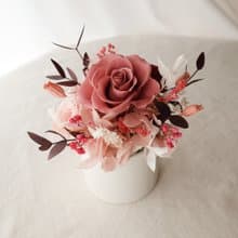 小型永生花盆花-豆沙粉