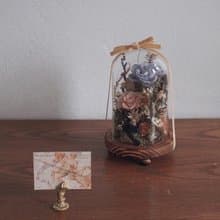 Glassdom #1 星座神話永生花盅_水瓶座 蓋尼米亞的眼淚