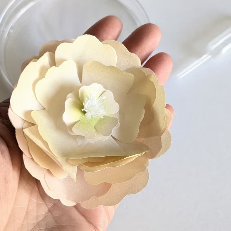融化花朵的禮物 / 戒指 / 彩虹月光石 / 均碼