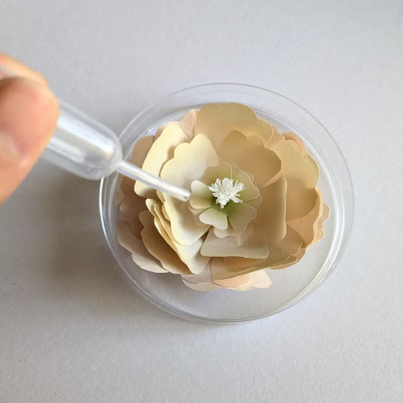 融化花朵的禮物 / 戒指 / 彩虹月光石 / 均碼