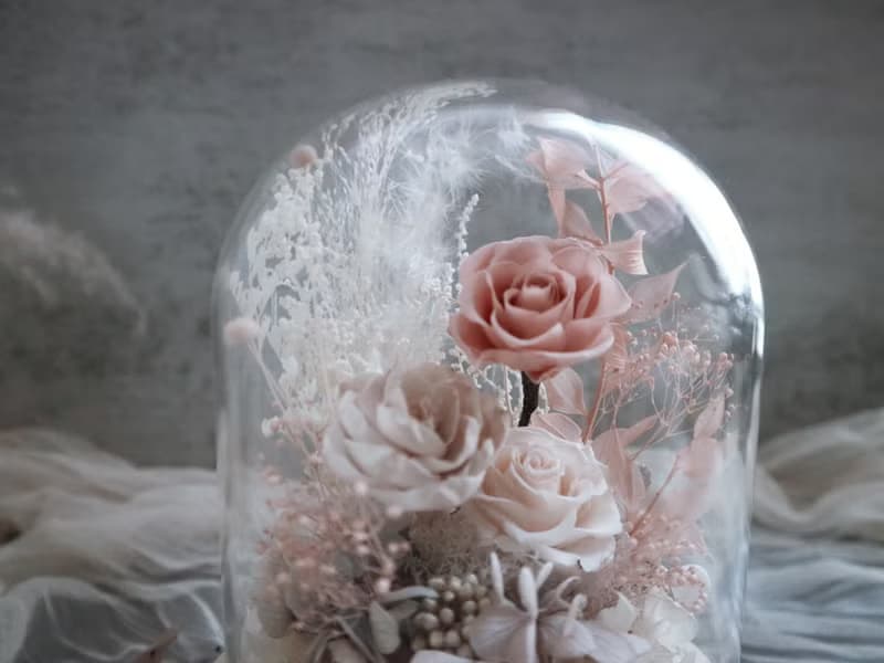 永生花玻璃罩 - 香草粉紅
