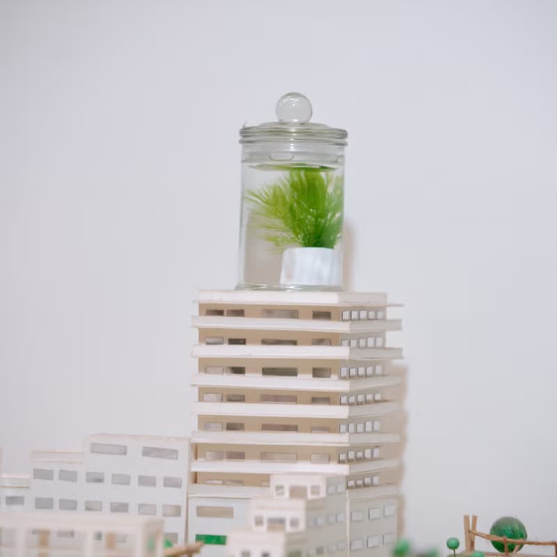 小標本罐養水草【植物保固】 禮物