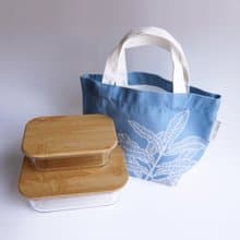 蕨對飽飽便當組-臺灣原始觀音座蓮