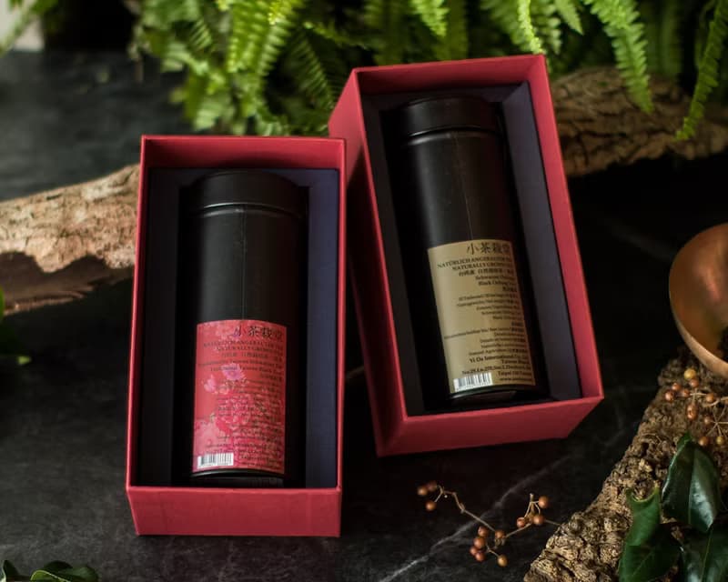 【小茶栽堂】小茶紅禮盒 雙茶罐禮盒 茶與花的極致饗宴
