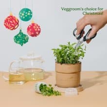 【環保交換禮物】微菜香草茶種植DIY套裝