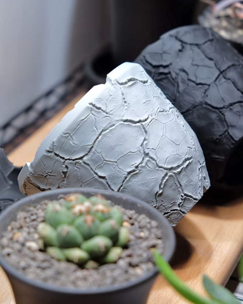 CBP013植木鉢 原創設計/3D列印/多肉塊根植物/盆器盆栽/送禮