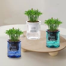 植栽 室內盆栽 羅漢松 懶人盆栽