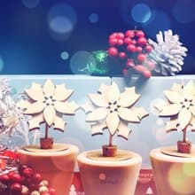 Xmas 聖誕 交換禮物 薰香 盆栽 -poinsettia