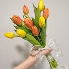 鬱金香鮮花捧花束
