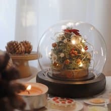 - 松果聖誕樹玻璃球 (三款) - 夜燈 擺飾 交換禮物 聖誕禮物