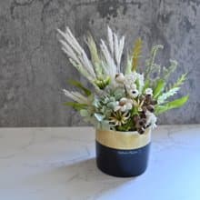 永生花小盆花-療癒綠【附透明禮盒】
