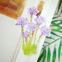 臺灣特有種 阿里山龍膽 繪畫PVC防水大貼紙