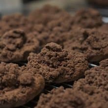 英式司康/scone | 巧克力控 | 榛果可可脆粒花捲、可可英式經典