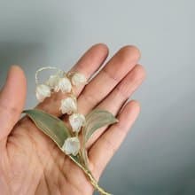 鈴蘭。胸針。沾浸藝術花。飾物。生日禮物